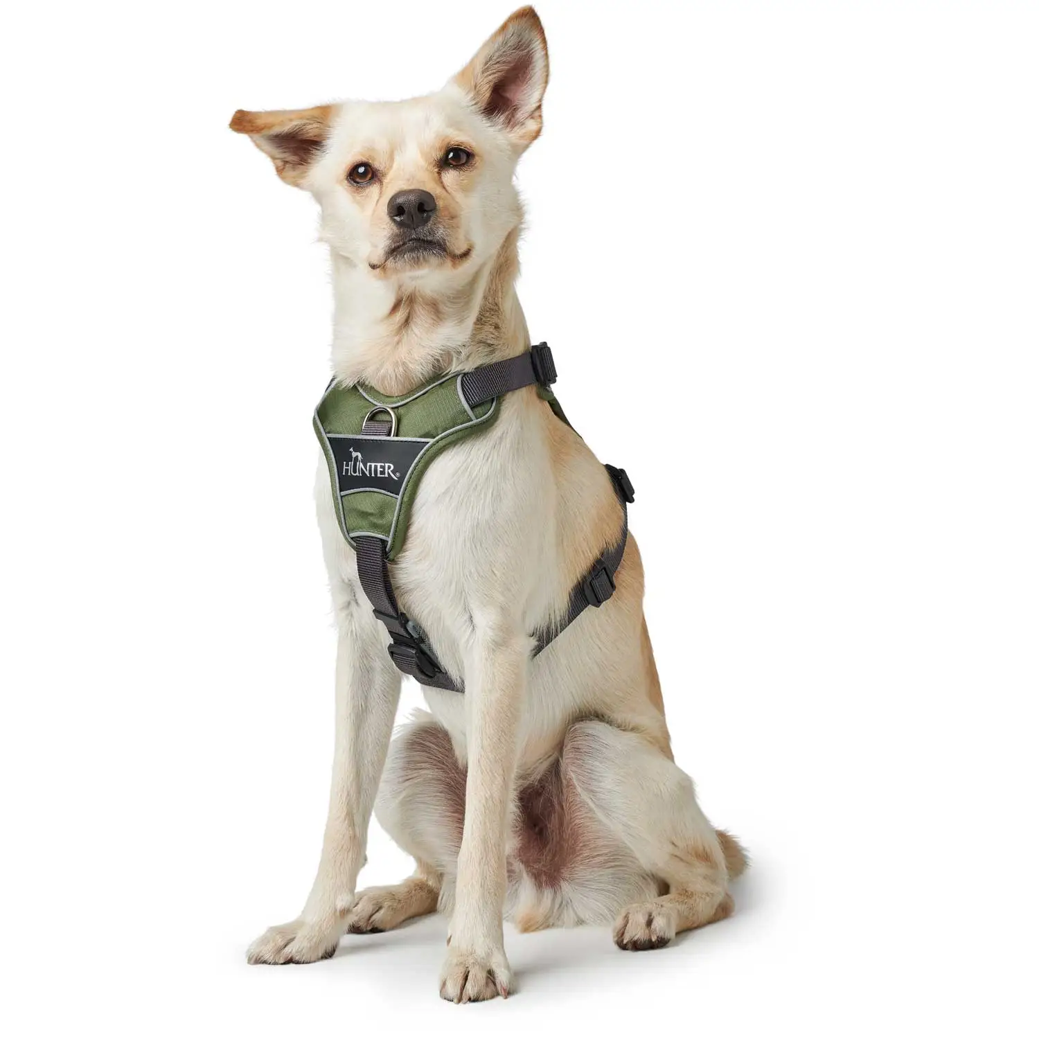 Hunter Divo hundesele L-XL grøn/grå just mave 79-107 cm - Stabil kontrol og komfort